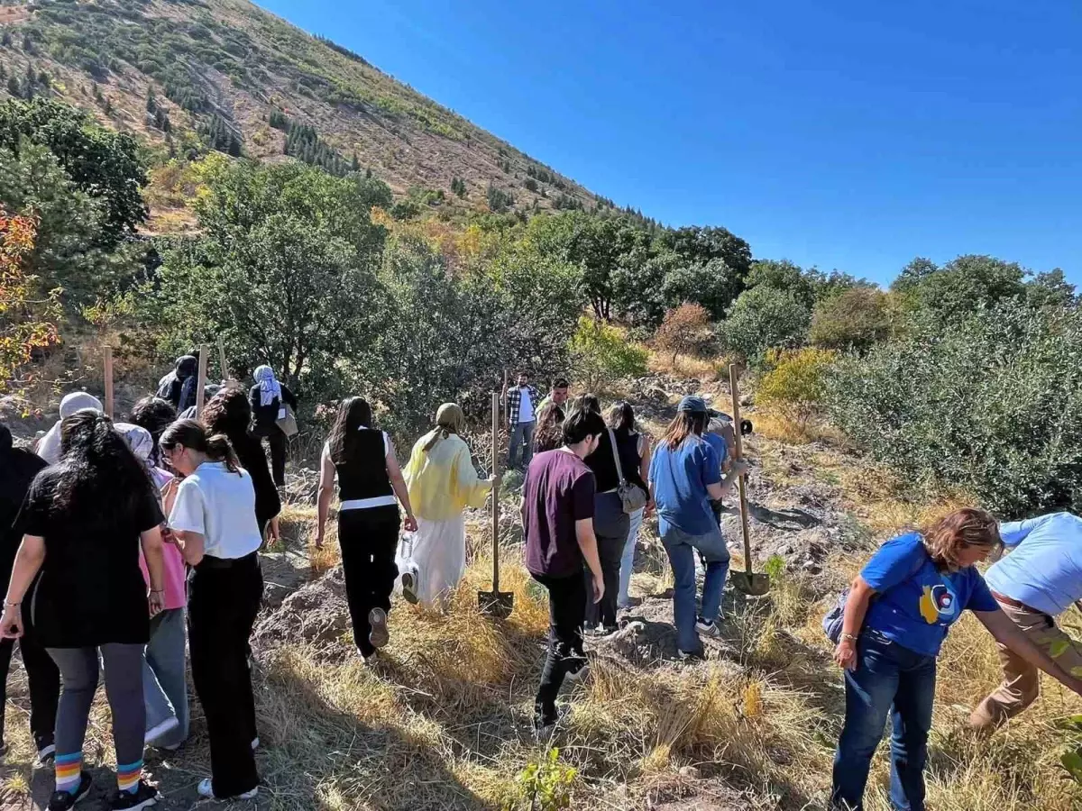 talasta dunya eczacilar gununde fidan dikim etkinligi gerceklestirildi Pw65hEVD