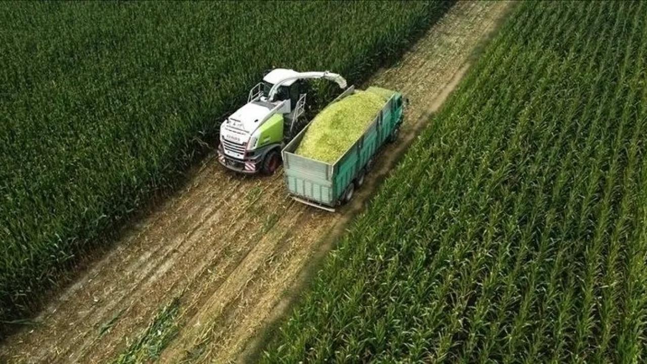 tarima yonelik hazine destekli finansmana iliskin limitler duzenlendi MMOikzhM.jpg