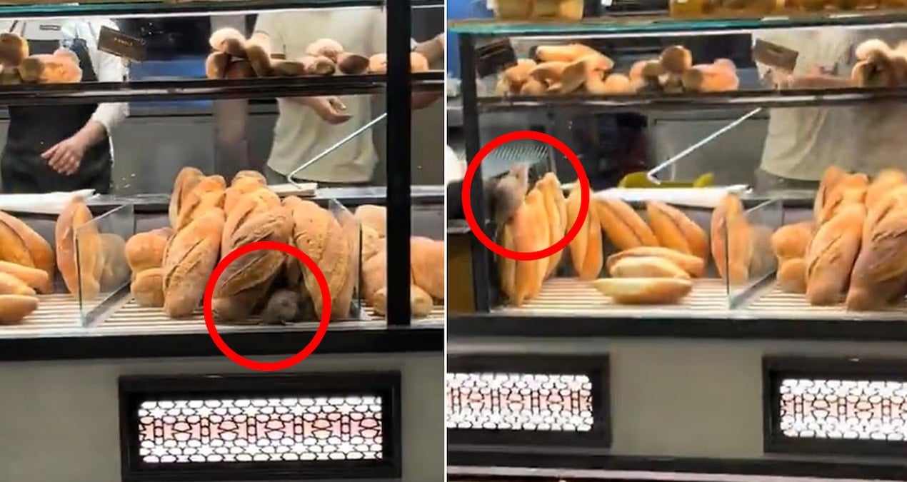 firinda cekilen bu goruntuyu paylasmamasi icin 420 bin lira teklif edildi 7jVMqkDu.jpg