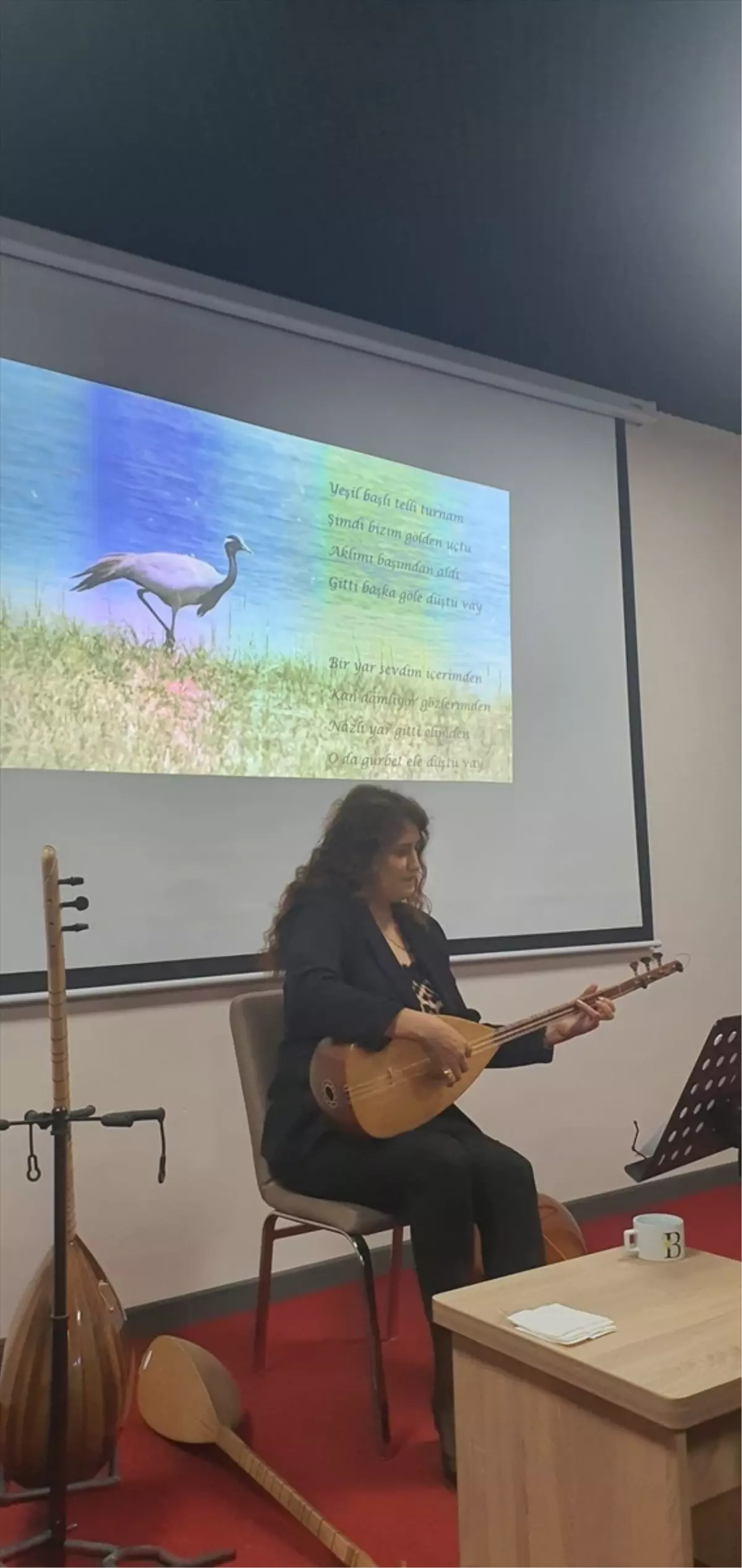 turna temali konser amasyada vv6wuC5f.jpg