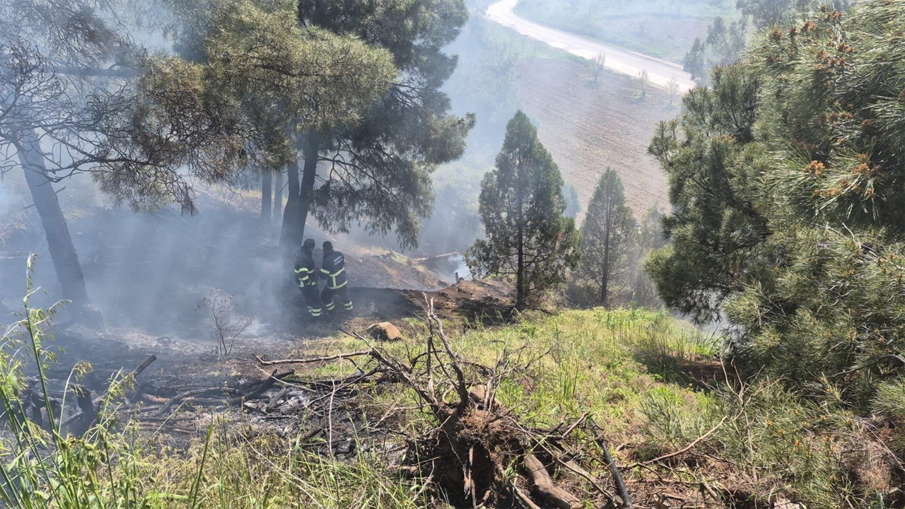 Dursun Fakıh Türbesi Yakınında Yangın Paniği