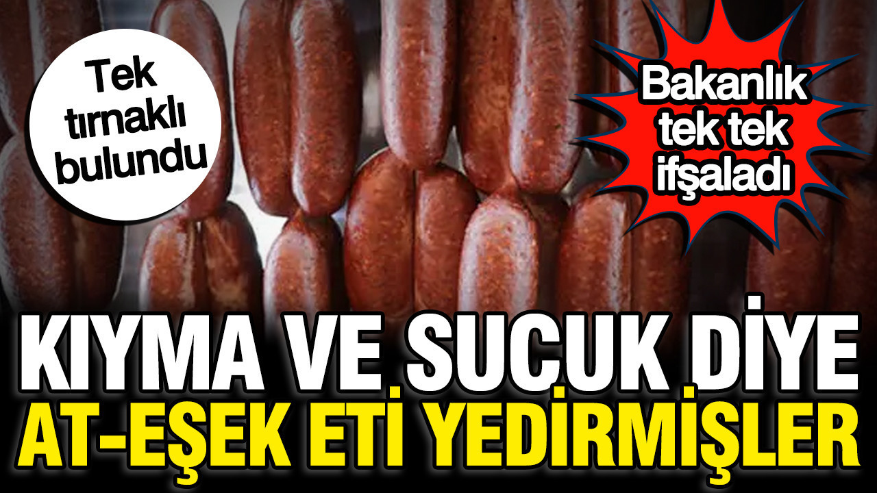 Bakanlik 3 firmayi ifsaladi sucuk ve kiyma diye at esek eti yedirmisler 4RdTuR3u